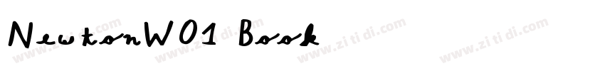 NewtonW01 Book字体转换